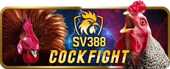 Đá gà cựa dao tại 8kbet456 casino