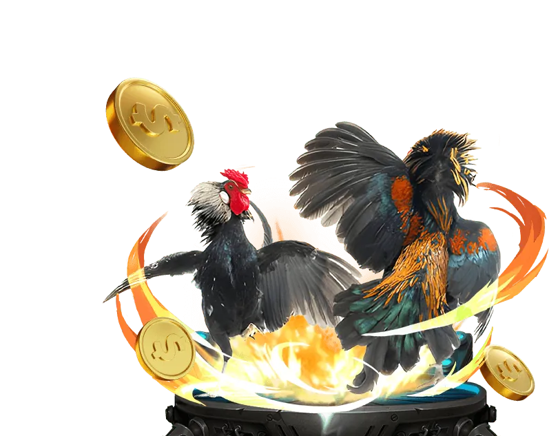 Tổng quan về trải nghiệm đá gà tại 8kbet456 casino